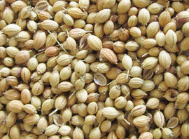 Sabut Coriander Seeds