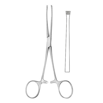 Allis Tissue Forcep