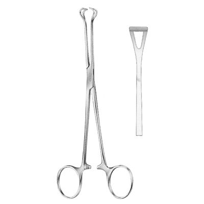 Babcock Tissue Forcep (16cm)