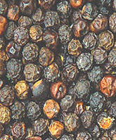 Black Pepper - Premium Quality Whole Grains, Enhances Flavor & Offers Medicinal Benefits