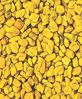 Fenugreek Seed 