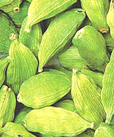 Green Cardamom