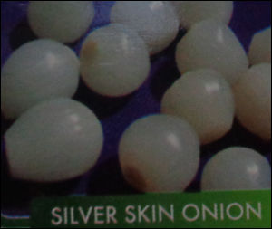 Fresh Silver Skin Onion
