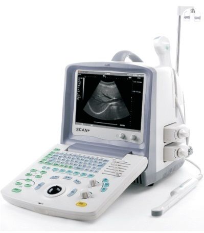 Ultrasonography (Scan +)