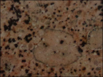 Bonanza Gold Granite