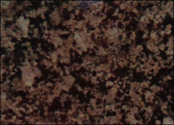 Desert Brown Granite