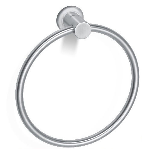 Ss Towel Ring