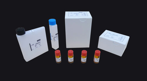 Transferrin Assay Kit (Immunoturbidimetry)