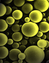 Expancel Microspheres