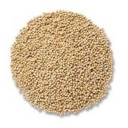 Millet Seeds