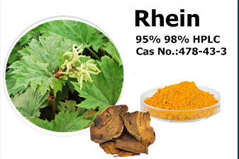 Rhubarb Root Extract Rhein 98% CAS 478-43-3 