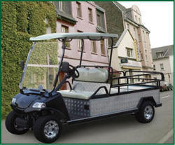 6 Seater Cargo Golf Cart