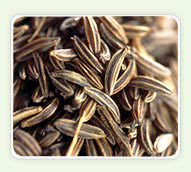 Cumin Seeds