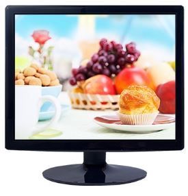 Gst 19" Led Monitor