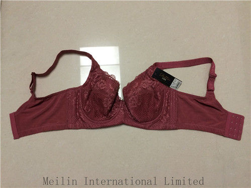 Ladies Bra (No.1002)