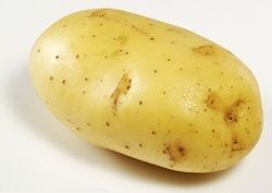 Fresh Potato