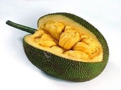 Jack Fruit