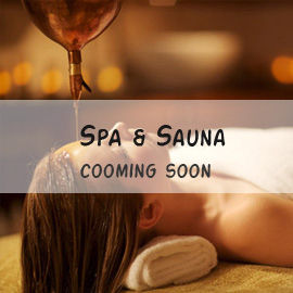 Spa And Sauna Service