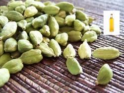 Cardamom Essential Oil 