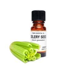 Celery Seed Oil