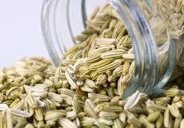 Fennel Bitter Oil