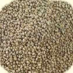 Great Millet Seeds