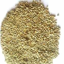 Hybrid Pearl Millet Seeds