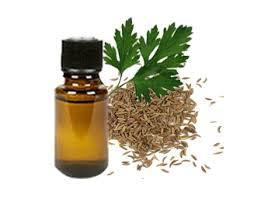 Parsley Seed Oil