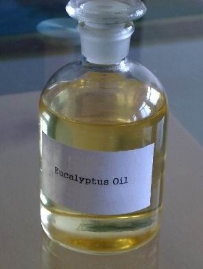 Eucalyptus Oil Diameter: 1 Millimeter (Mm)