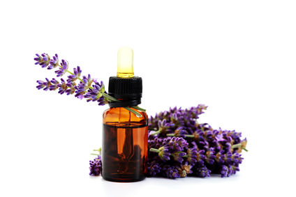 Lavender Oil