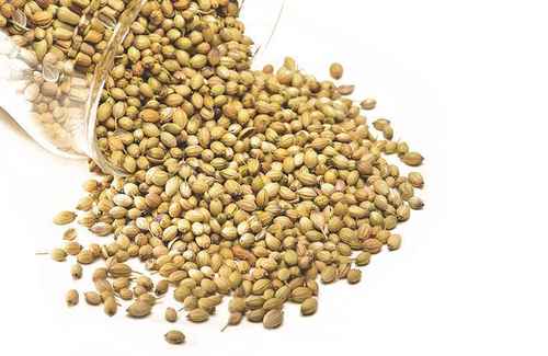 Coriander Seeds