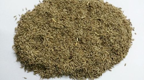 Quality 98% Pure Cumin Seeds Singapore