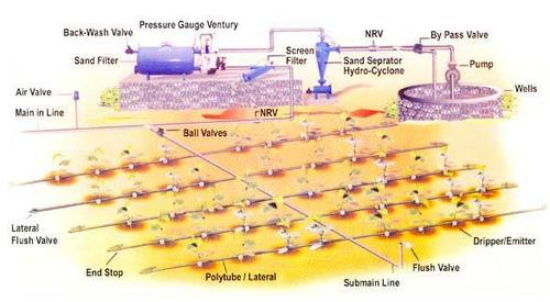 Drip Irrigation System