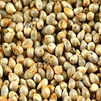 Millet Seeds (Bajra)