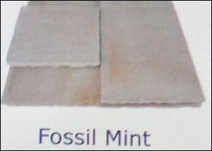 Fossil Mint Sandstone - Natural Stone, Varied Shapes & Sizes, Creamy with Mint-Green, Red, Brown, and Purple Shades, Intricate Patterns for Pavement Decor