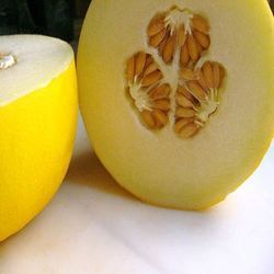 Musk Melon Seed- Carribean Gold