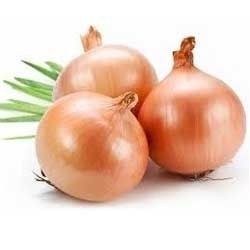 Fresh Onion