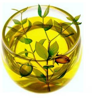 Jojoba Oil