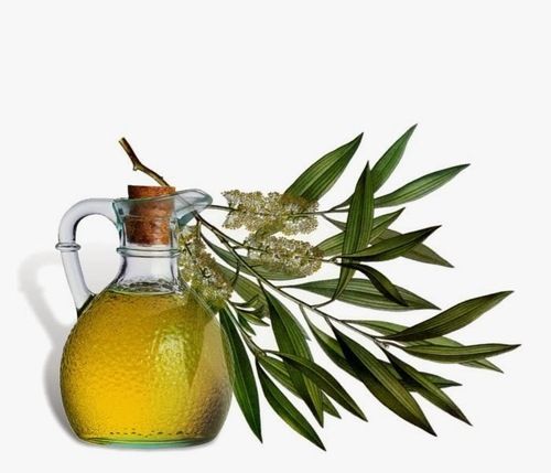 Tea Tree Oil - Pure Essential Oil with Fresh Camphoraceous Aroma | Colorless to Pale Yellow, Therapeutic Quality