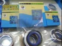 Hydraulic Cylinder Kit