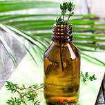 Ajowain Oil - Linalool Chemotype, Antiseptic Properties, Antibacterial & Antifungal Action, Versatile Uses in Aromatherapy