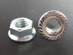 Stainless Steel Flange Nut