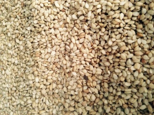 Roasted Sesame Seed