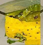 Khaman Dhokla