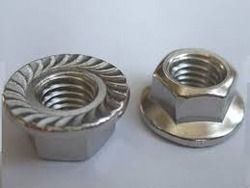 Galvanized Flange Nuts