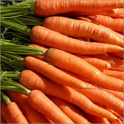  गाजर