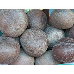 Pure Coconut Copra