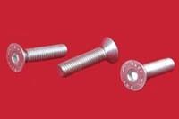 SS Allen Socket C.S.K Head Screws (Cold Forged)