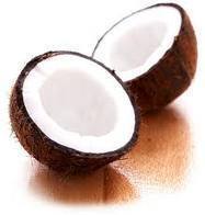 SUBRAMANI Coconut