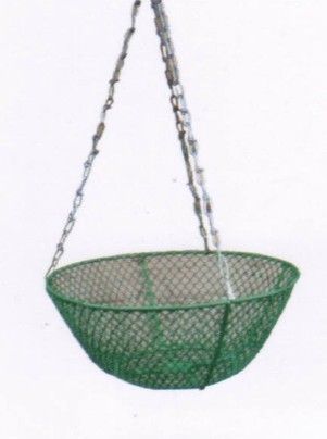 Wire Hanging Basket